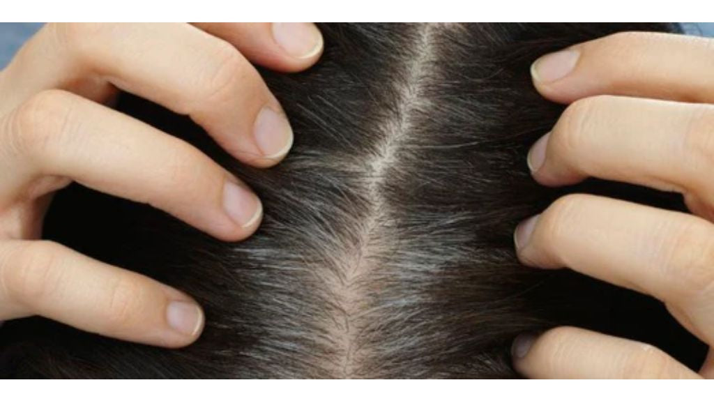 5 Gray Coverage Tips You Need To Apply Right Now!