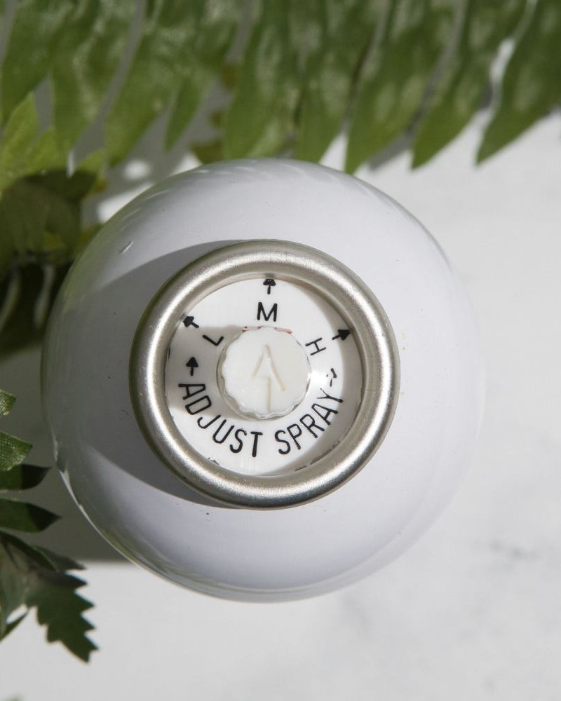 Flex Plus Holding Spray & flyaway hair tamer