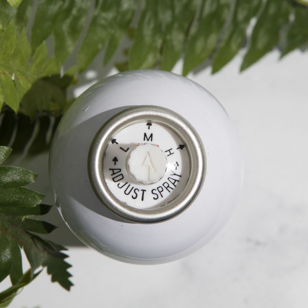 Flex Plus Holding Spray & flyaway hair tamer